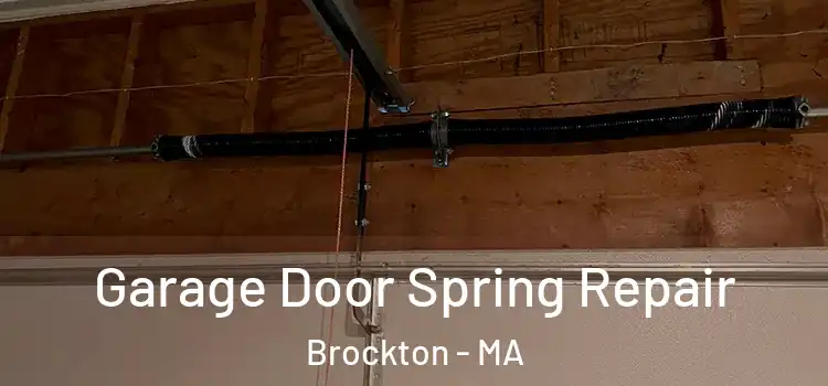  Garage Door Spring Repair Brockton - MA