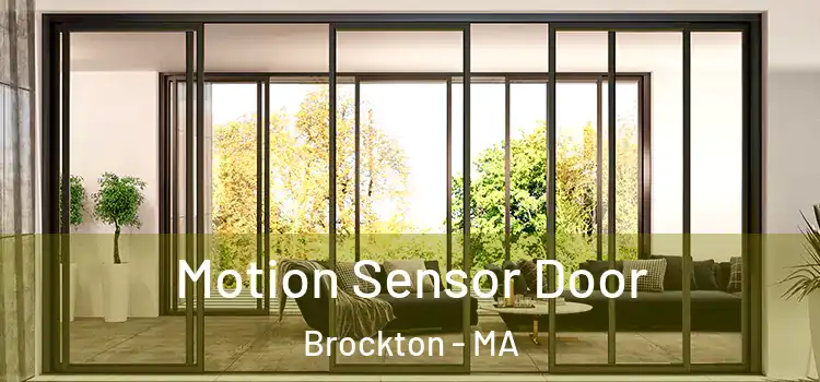  Motion Sensor Door Brockton - MA